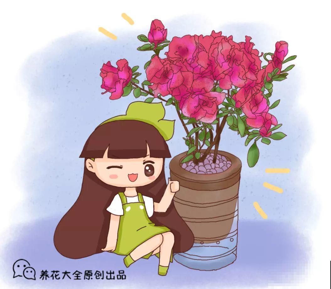 杜鹃买回来没两天，叶子哗哗往下掉？都是它惹的祸！
