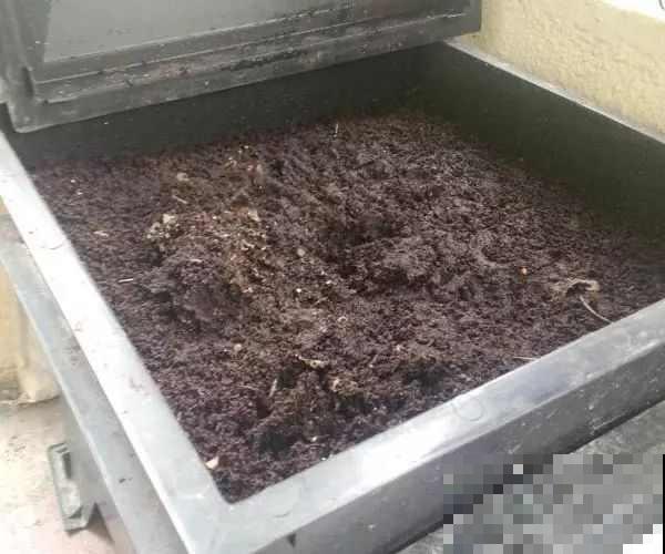 一年最适合堆肥就趁现在，把这玩意塞盆里就行，明年开春就能用