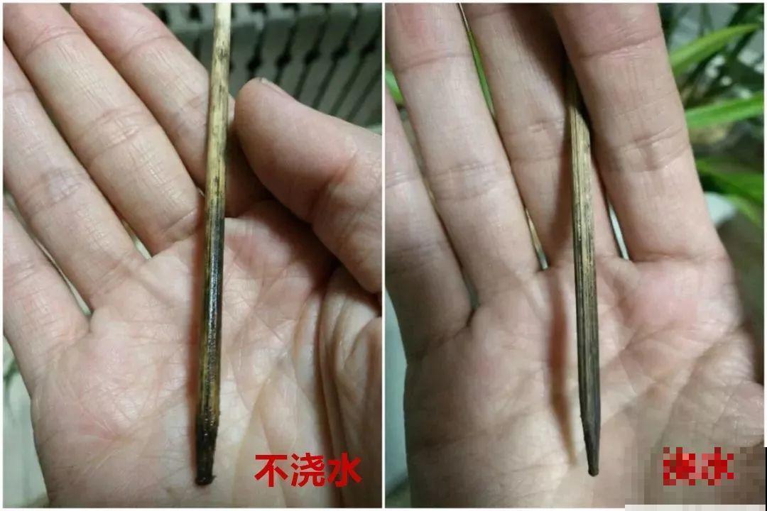 30种花冬天浇水技巧，根不烂，来年春天猛蹿新叶！