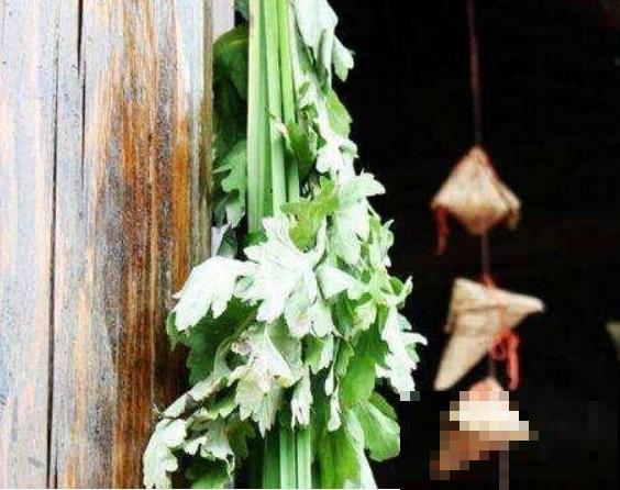 农村都拿艾草当宝，原来还有这3种效果，现在才知道也不迟！