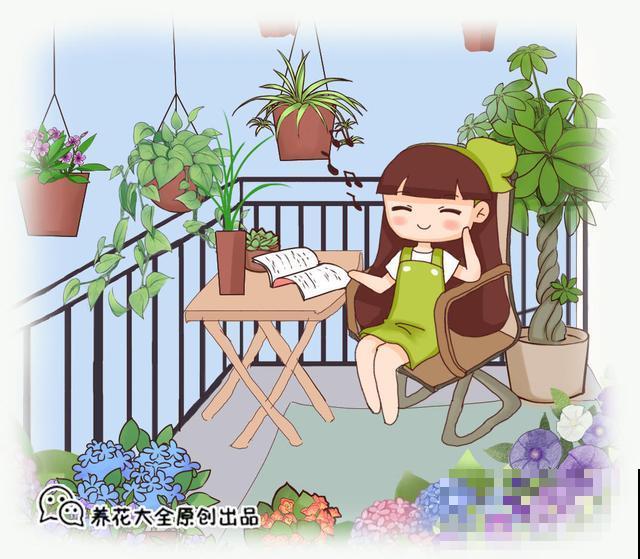 6种好看的花，可以让你的阳台不再单调，也太迷人了