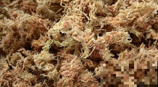 秋天懒得浇水，盆面铺层这玩意，俩月不用管也能蹭蹭长！
