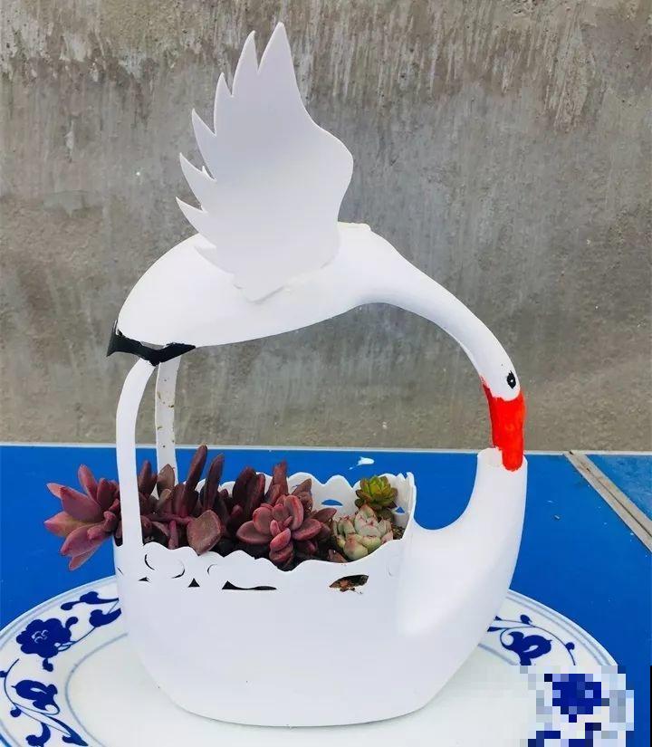 路边扔的木桩子，捡回家切几刀，种上花后多少钱也不卖！