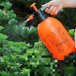煮东西的水千万别倒，冬天拿来浇花刚刚好，花苞呼呼冒叶子猛蹿芽