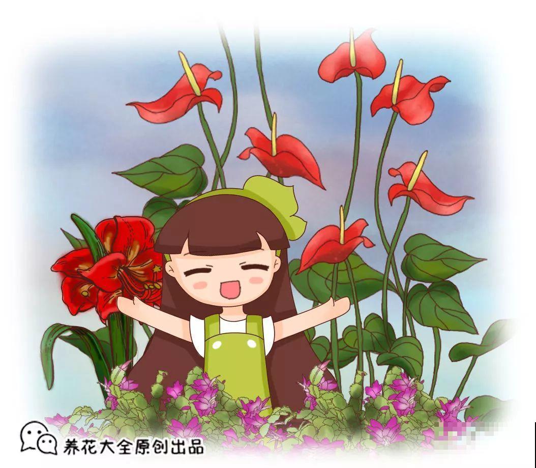 这花特皮实，少浇水、多晒太阳，开花2个月不歇气！