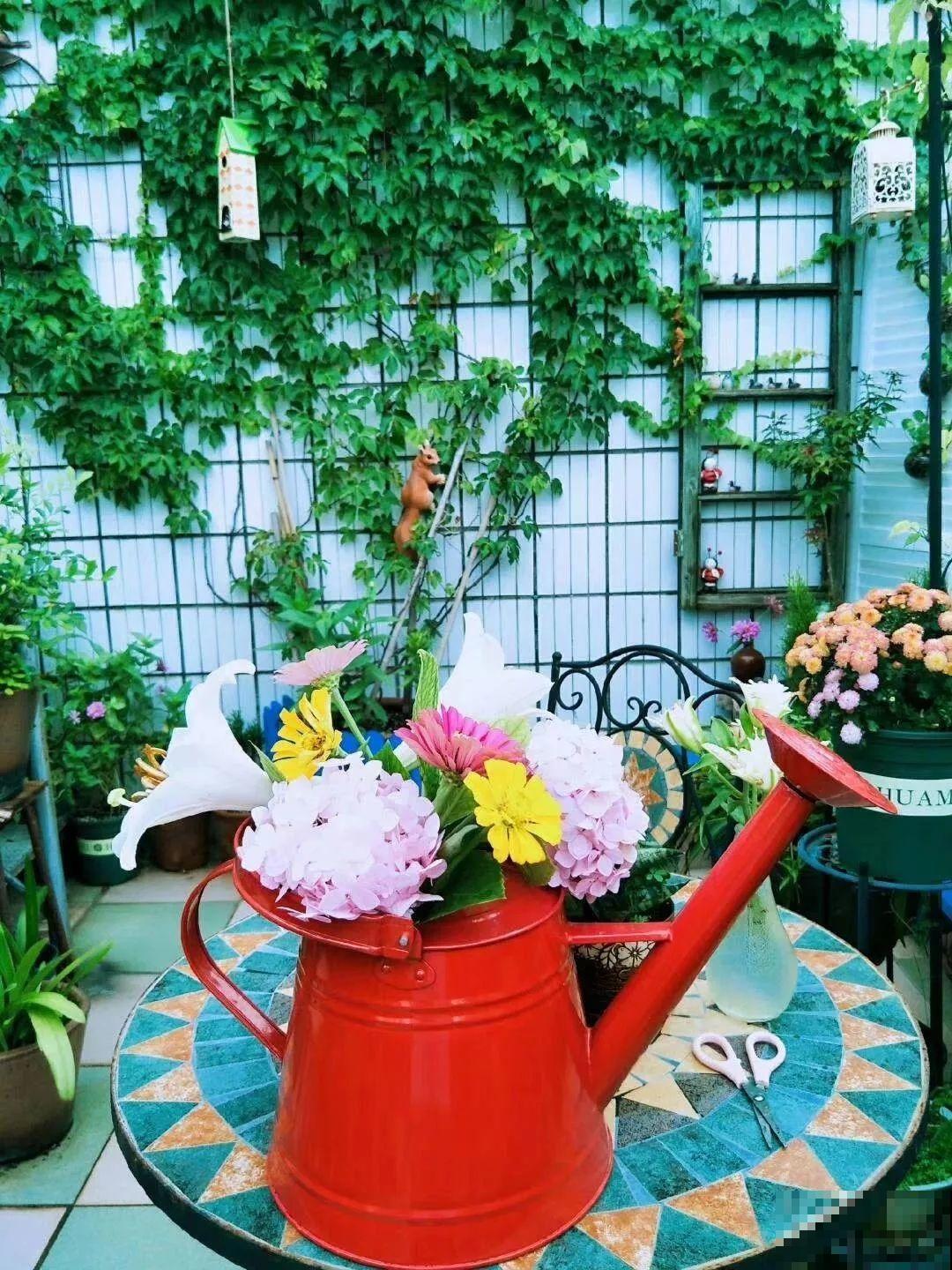 二胎妈妈建花园，一边带娃一边养花，全家人都支持！