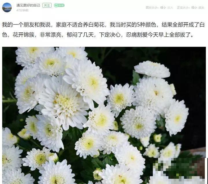 好不容易养开花，邻居却说不吉利，只好全拔光！