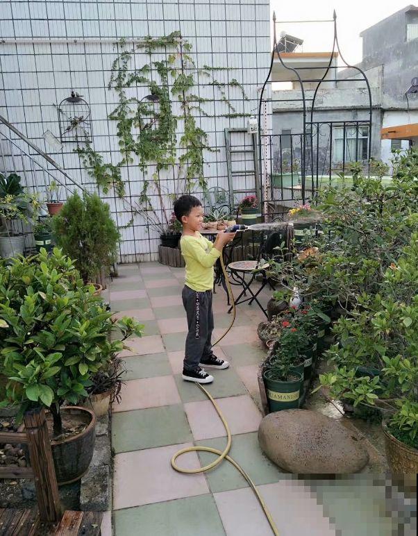 二胎妈妈建花园，一边带娃一边养花，全家人都支持！