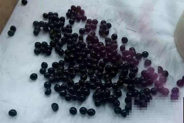 秋冬这花会结种，摘一把撒土里，呼呼长一片，能卖不少钱