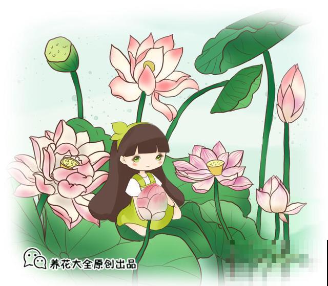 找个塑料盆，再去挖点泥，阳台就能种藕