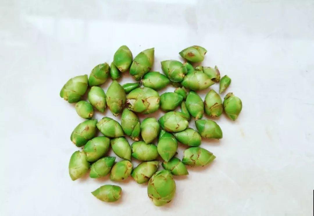 这花公认难养，冬天别急着搬屋里，小心花苞掉一地！