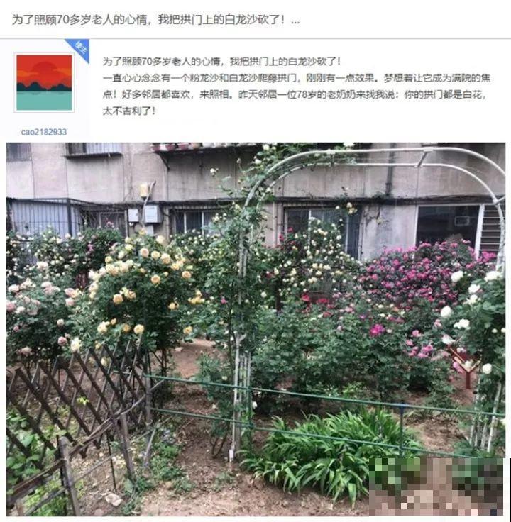好不容易养开花，邻居却说不吉利，只好全拔光！