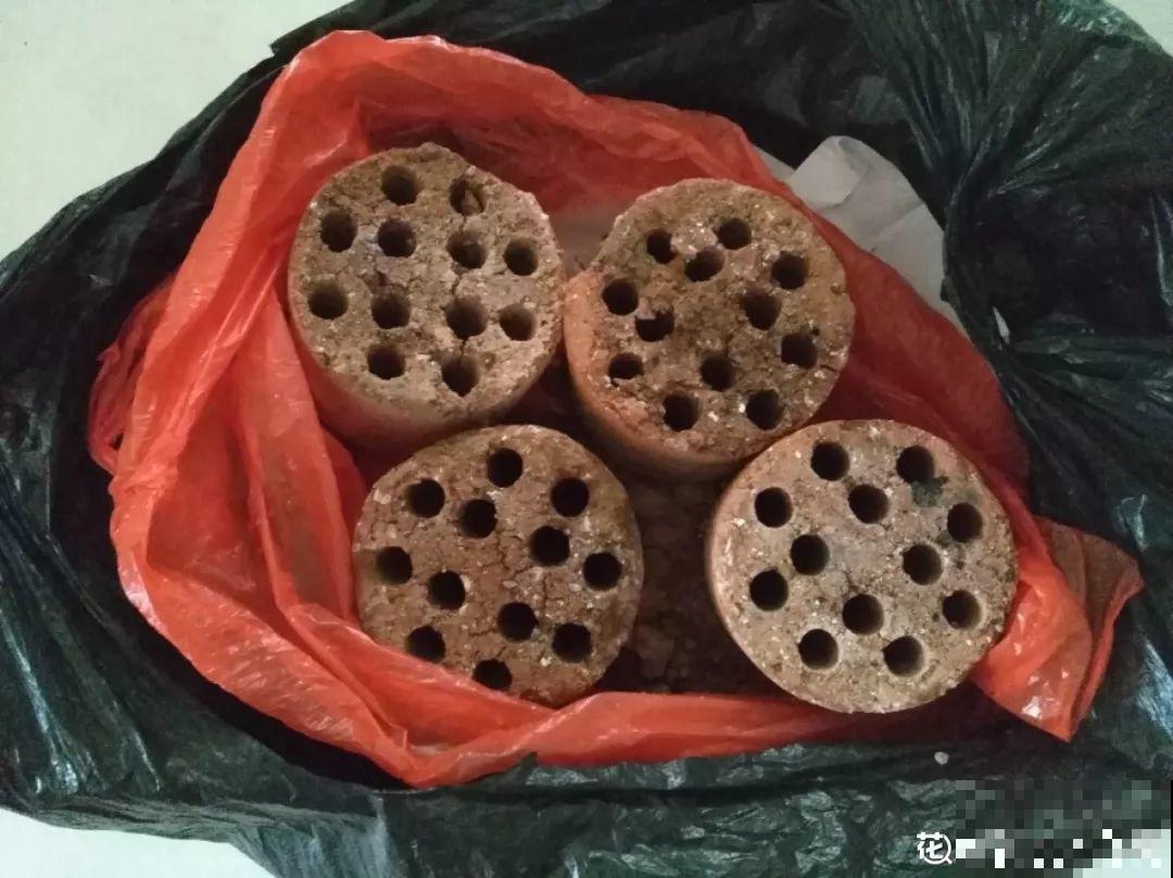 路边捡点它，水里一泡就是万能肥，肥效比淘米水好！