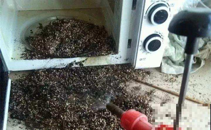 给花换盆，这种土别直接用，啥花也能养死了！