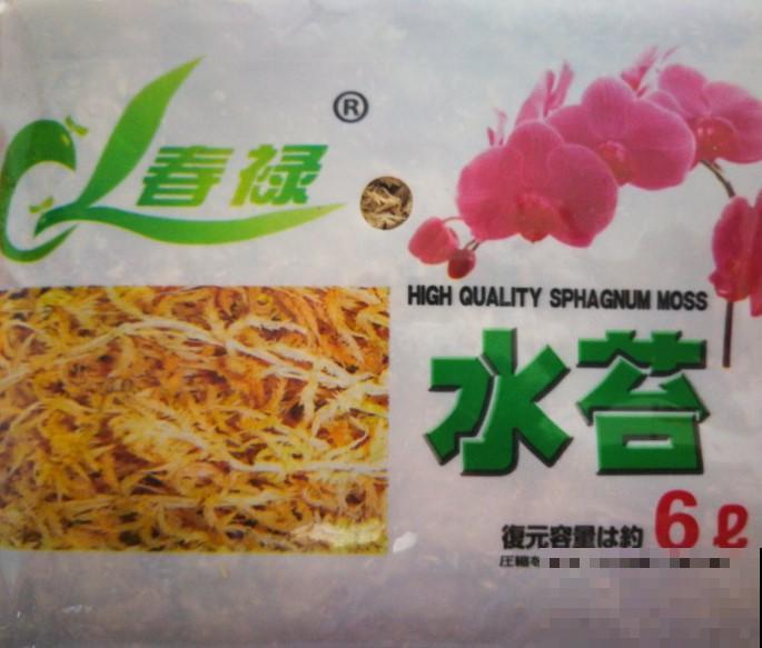 水苔原来还有这效果，真是冬季的养花神器！
