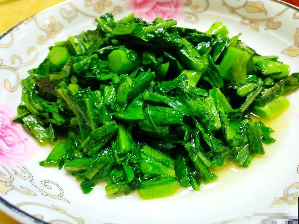家庭种菜就选它，不用花钱就能吃上新鲜蔬菜，菜香飘十里