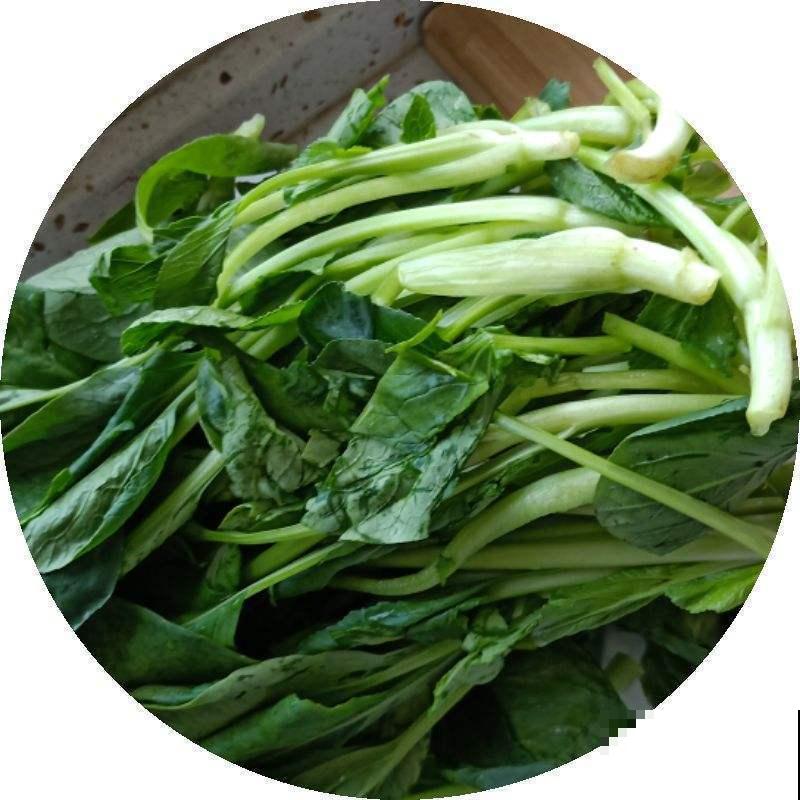 在家多种几种菜，拔出来煮火锅吃，美味又健康