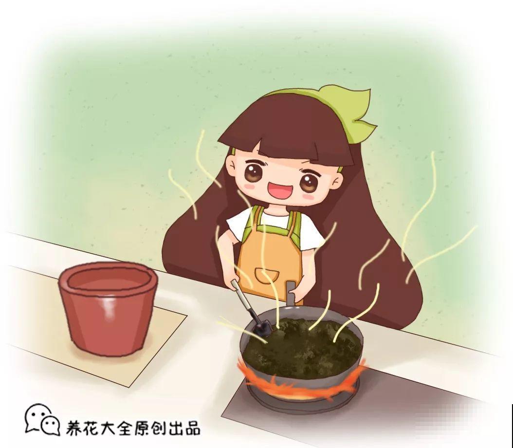 给花换盆，这种土别直接用，啥花也能养死了！