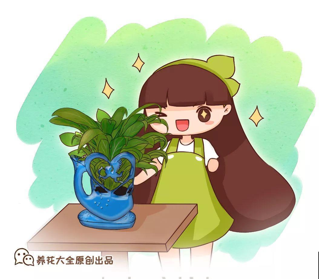 路边扔的木桩子，捡回家切几刀，种上花后多少钱也不卖！