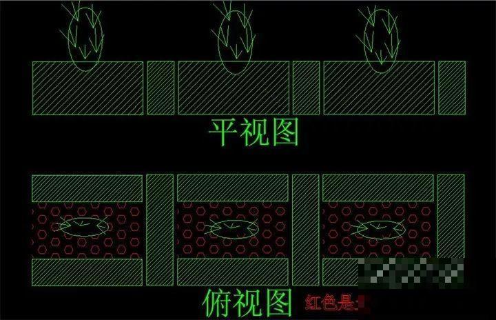 农村老家的多肉，专门长在房顶上，白送都没人要！