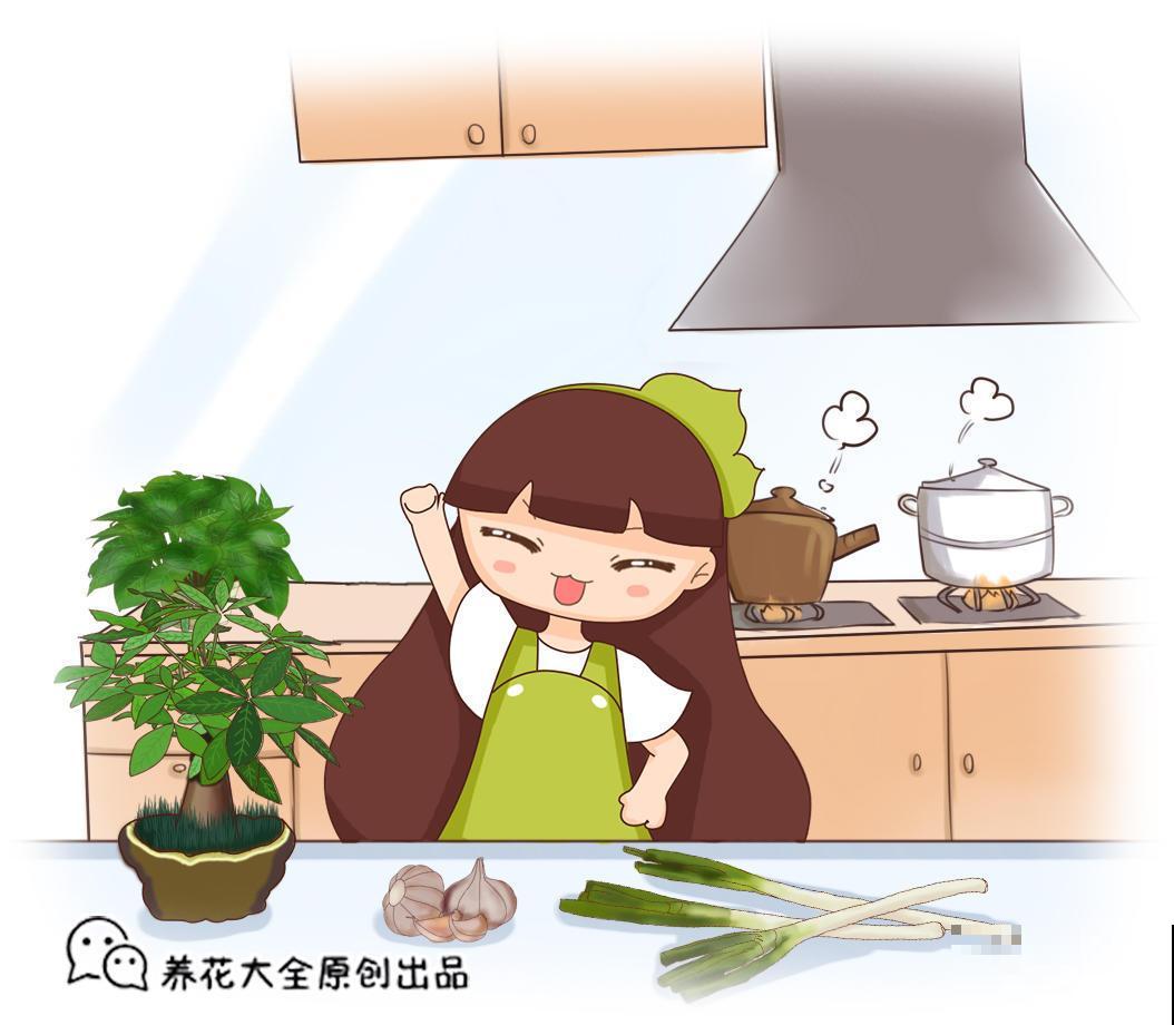 秋天种大葱容易得病虫害？从这两个方面预防，大葱开成塔