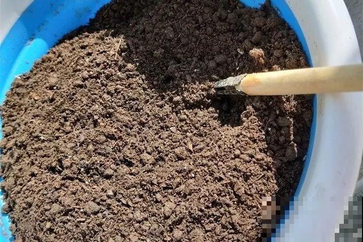 要想多肉种的好，关键配土少不了，16种材料如何选？