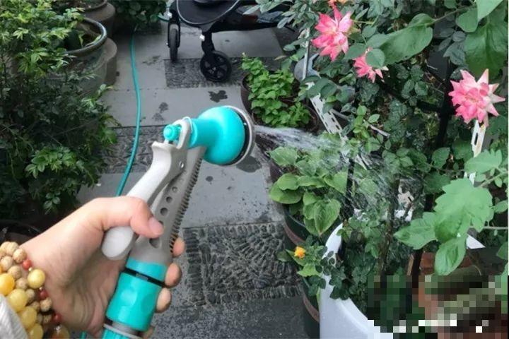 30种花冬天浇水技巧，根不烂，来年春天猛蹿新叶！