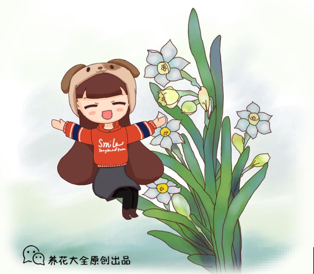 养这花要注意，冬天10摄氏度以上才安全，不然等着冻死吧