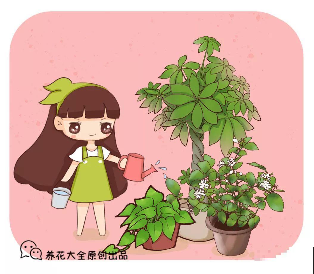30种花冬天浇水技巧，根不烂，来年春天猛蹿新叶！