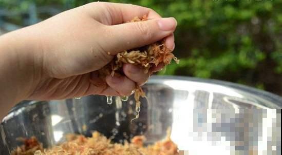 秋天懒得浇水，盆面铺层这玩意，俩月不用管也能蹭蹭长！