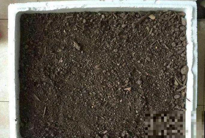 这种土继续用，小心接着烂根，被怪没提醒！