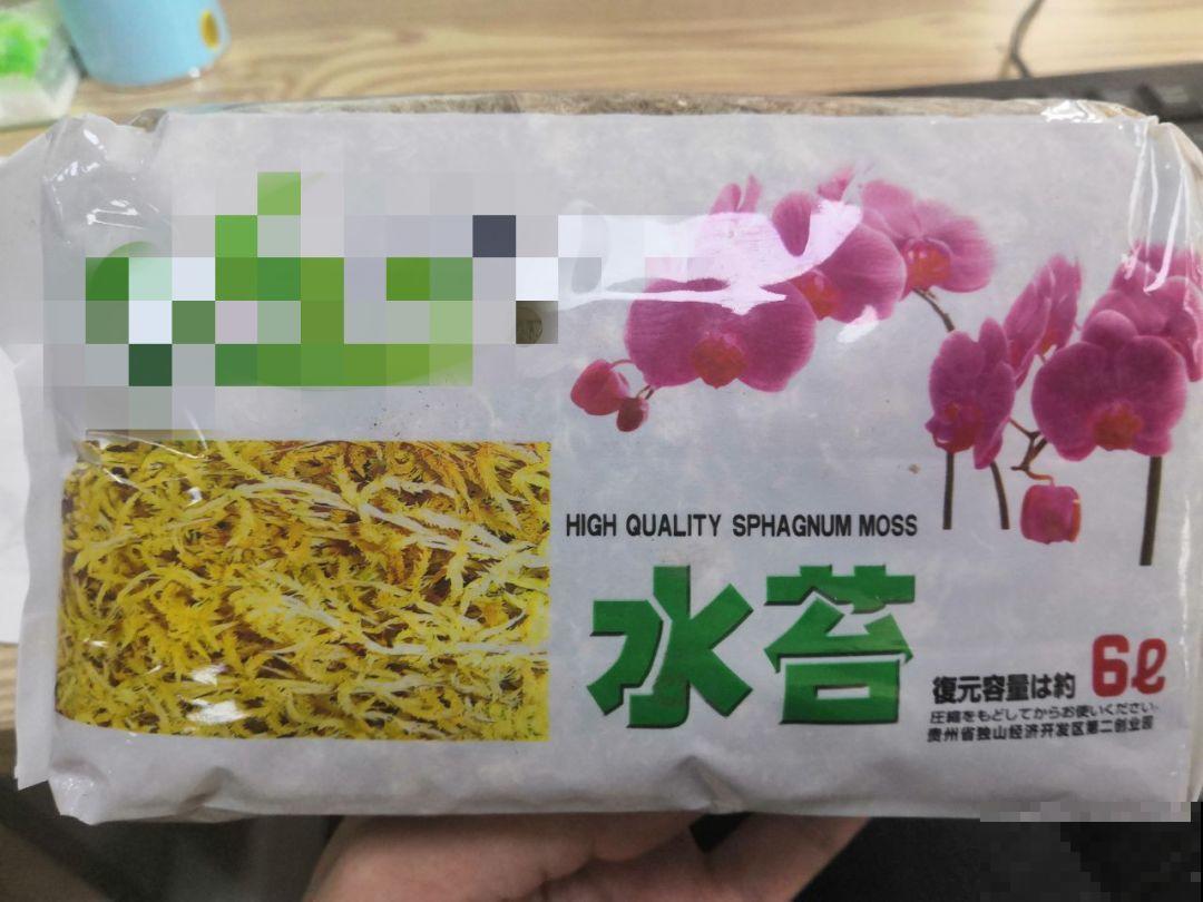 这花就得虐着养，套个袋子捂一捂，揭开立马冒花苞！