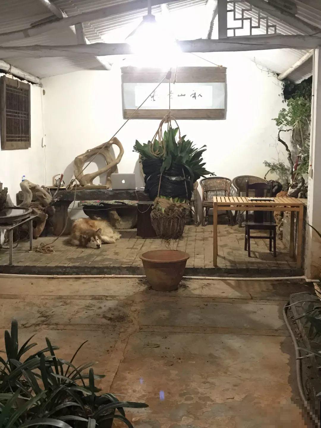 这8种花，养养就成巨无霸，3个大汉都搬不动！