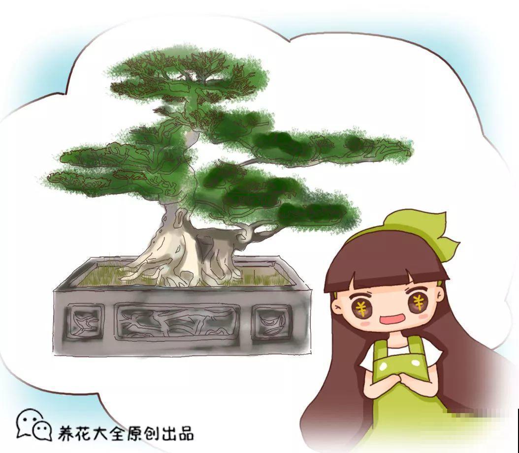 扔路边没人要的花，捡回去养1年，身价翻了20倍！