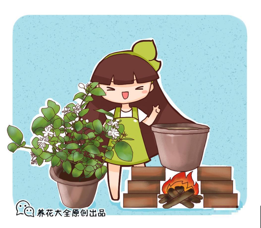 邻居把这1种植物放在卧室，净化空气不说，睡眠改善了不少