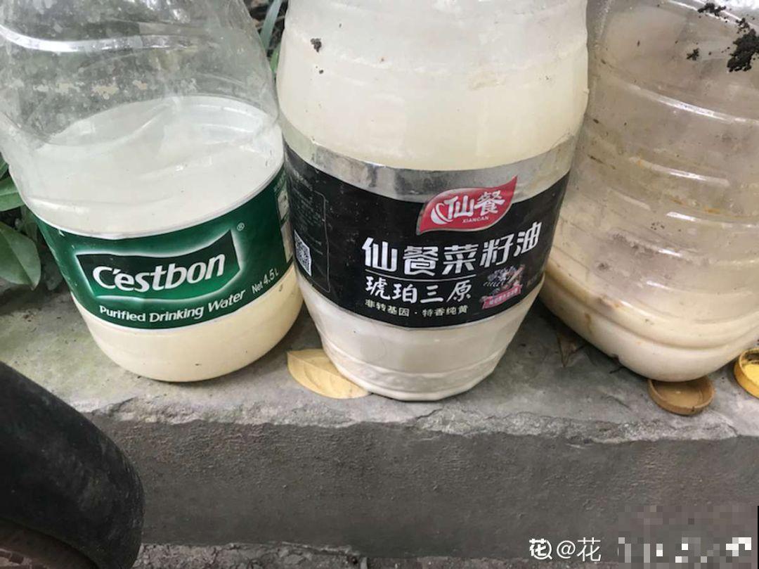 这花一开就是半年，阳光晒一晒，颜色鲜艳像打了蜡！