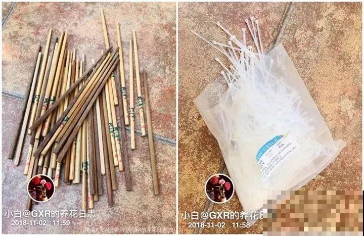 旧筷子先别扔，这样绑一绑，拿来养花有大用处！