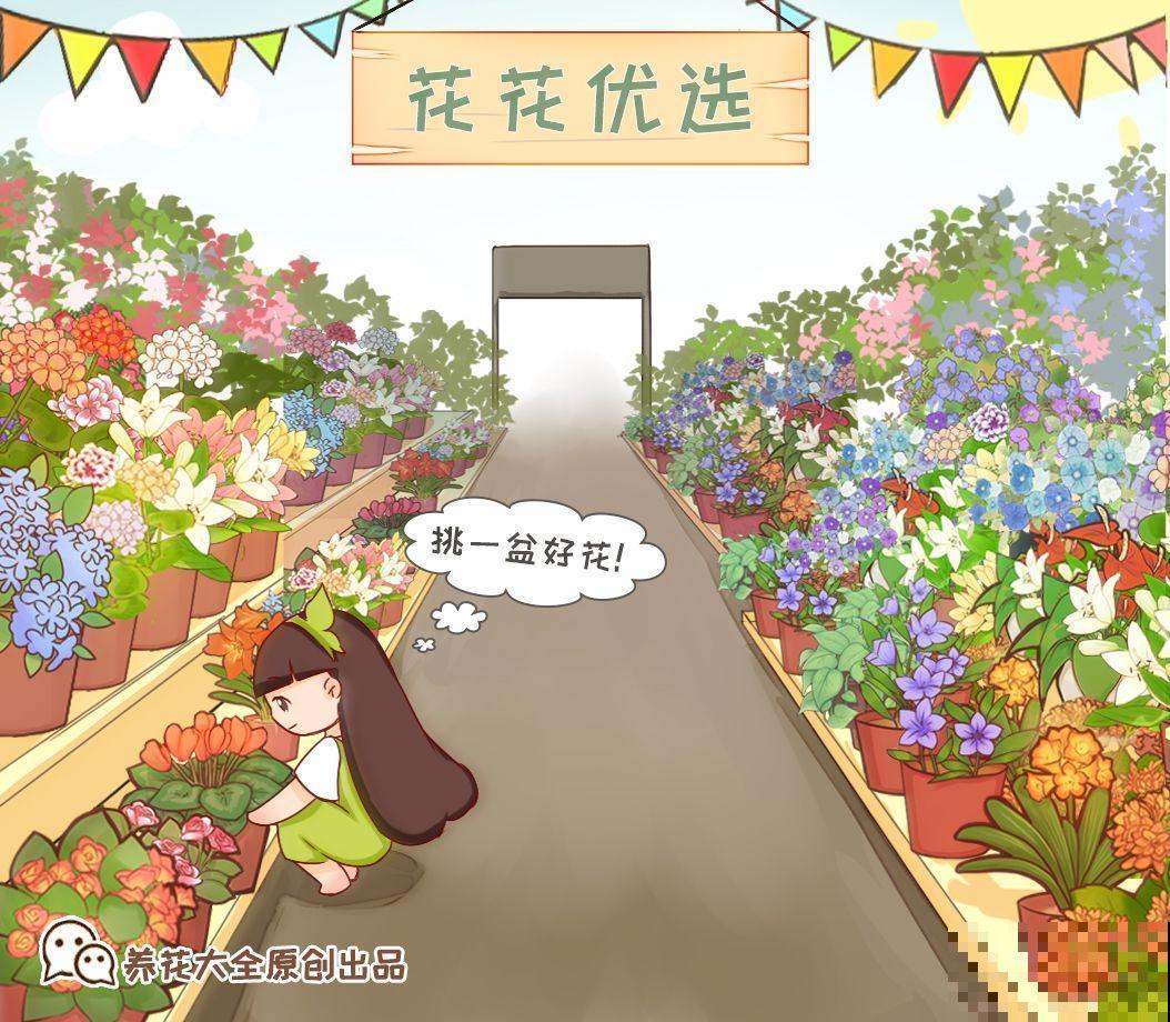 花市里猫腻多，碰见这10种花，再便宜也别买！