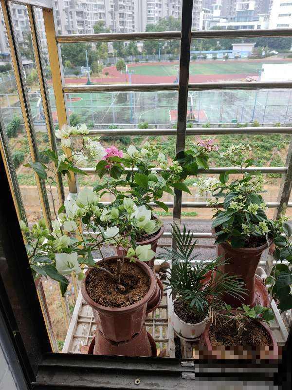 一天中这几个时间段开窗比较好，开窗也有大学问，避免室内有异味