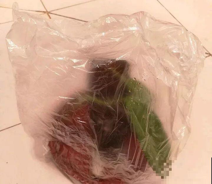 3种花，就得趁现在扦插，再晚就不生根了！