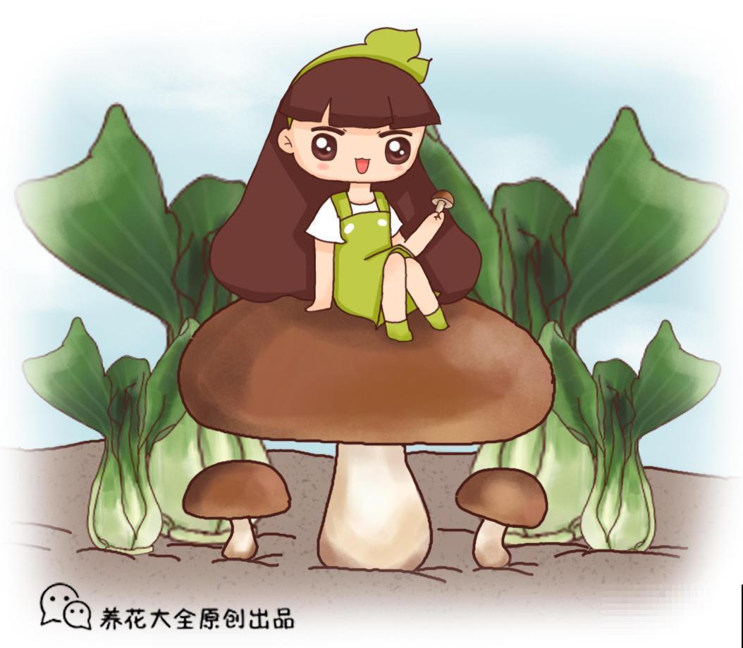 阳台种土豆，一个泡沫箱就可以搞定，让你变种菜达人
