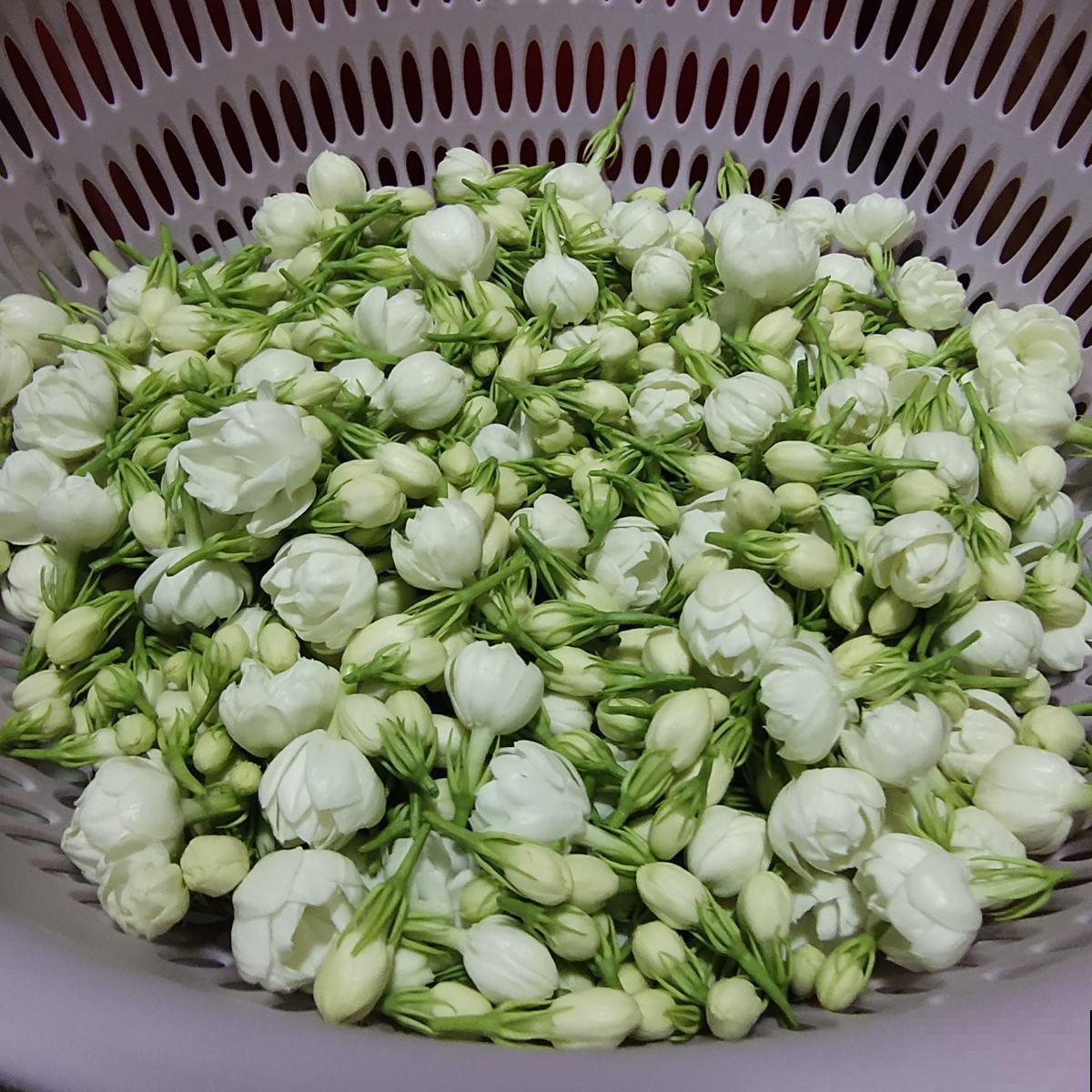 这6种花泡茶喝，缓解干燥，养生美颜