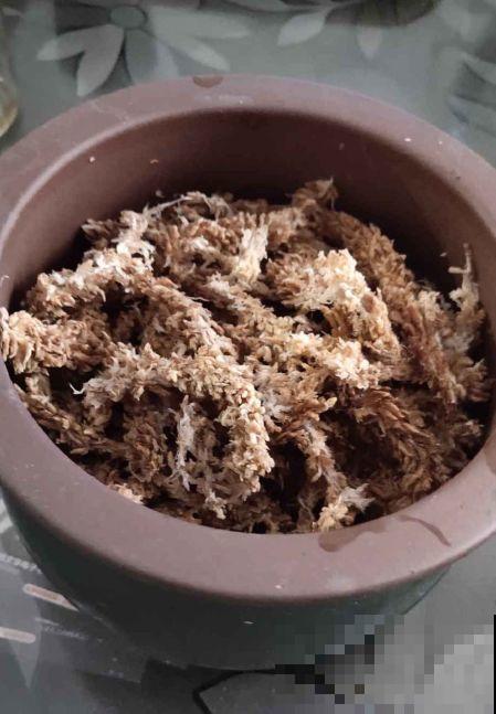 这花就得虐着养，套个袋子捂一捂，揭开立马冒花苞！