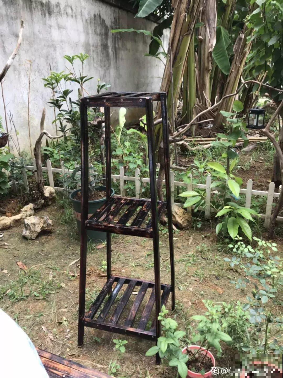 有个小院,养花喂猫,日子越过越充实! 有个小院,养花喂猫,日子越过越充实!