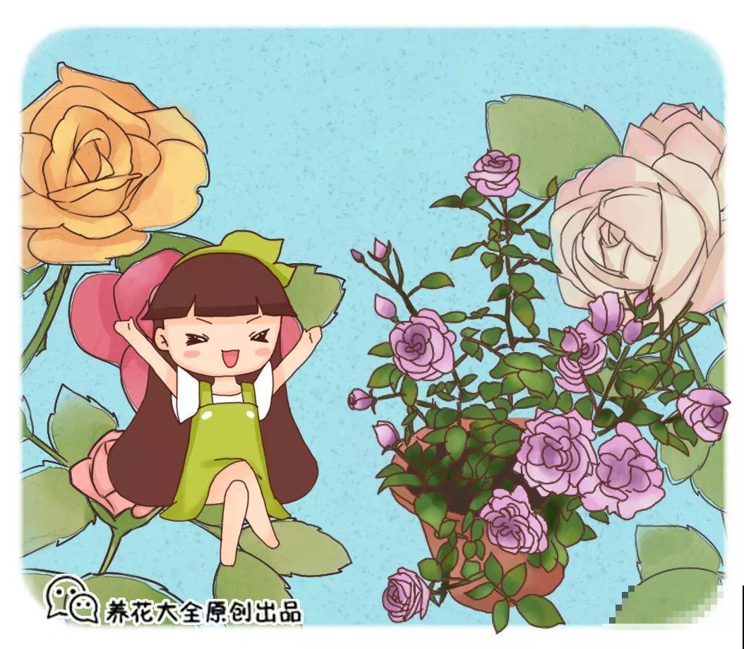 养花就得用粪桶，越养花越壮，不管也能开爆盆！