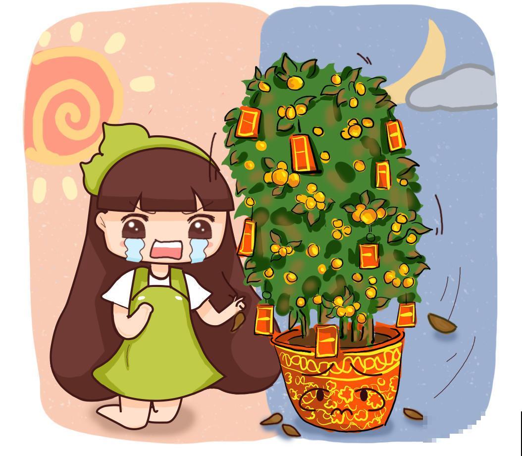 秋冬这样养护发财树，枝繁叶茂有光泽，不担心光秃秃