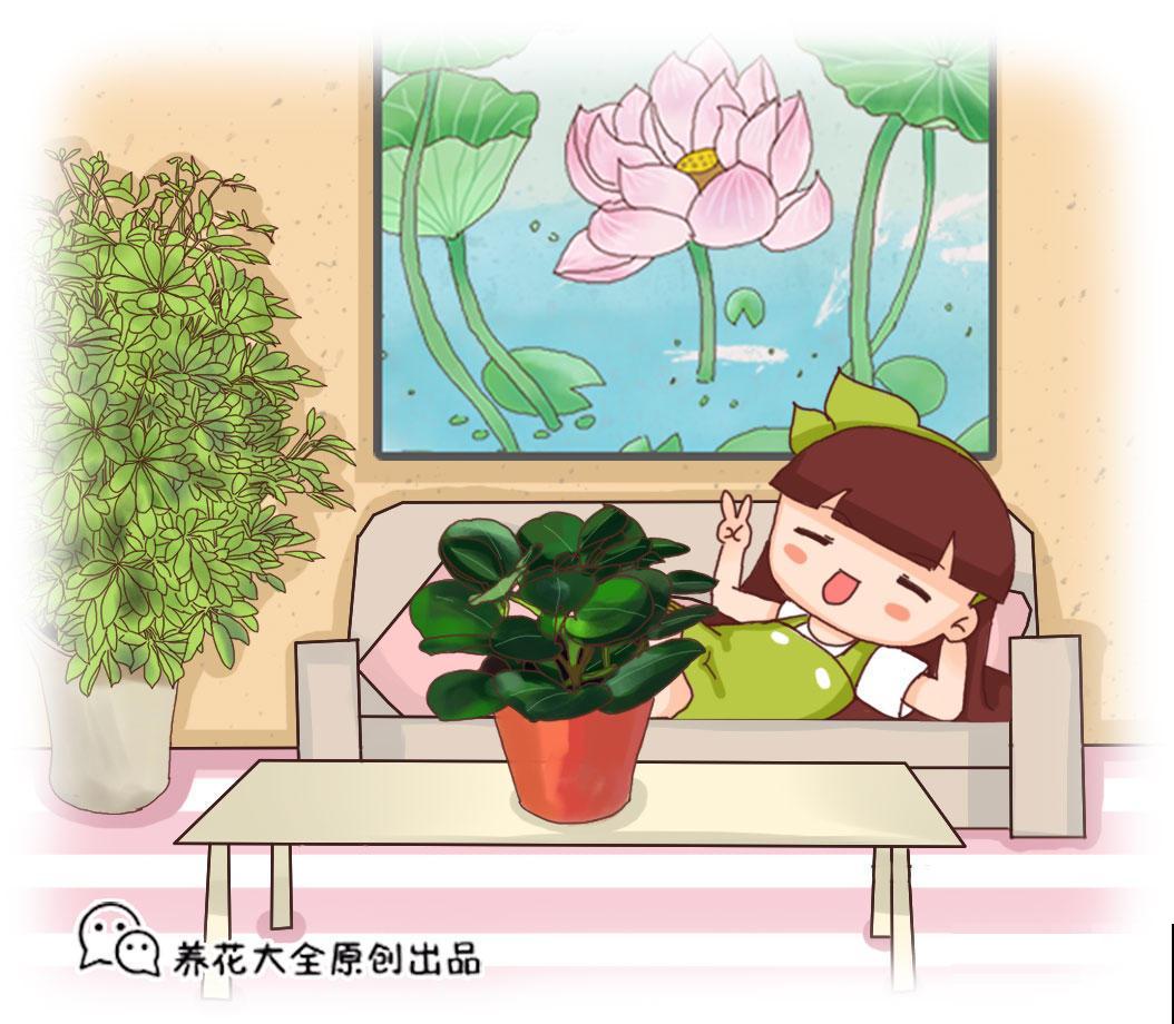 养盆薄荷放家里，气味清香清新空气，室内常年香气环绕