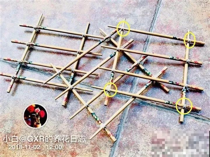 旧筷子先别扔，这样绑一绑，拿来养花有大用处！