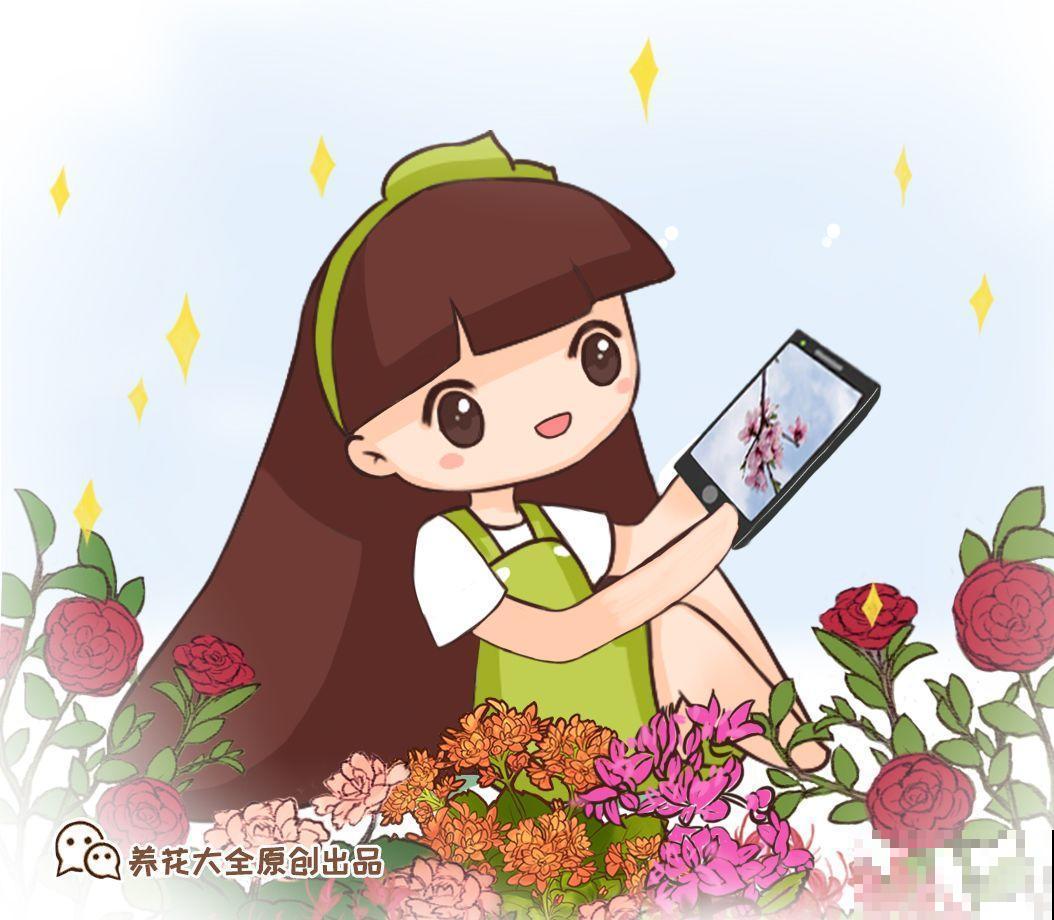 养花流行这么拍照，加个框，档次升了好几倍！