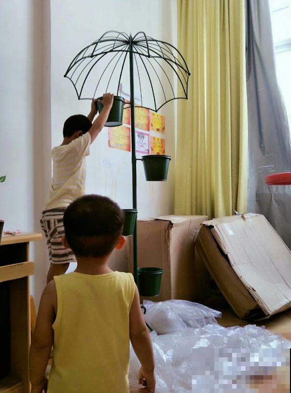 二胎妈妈建花园，一边带娃一边养花，全家人都支持！